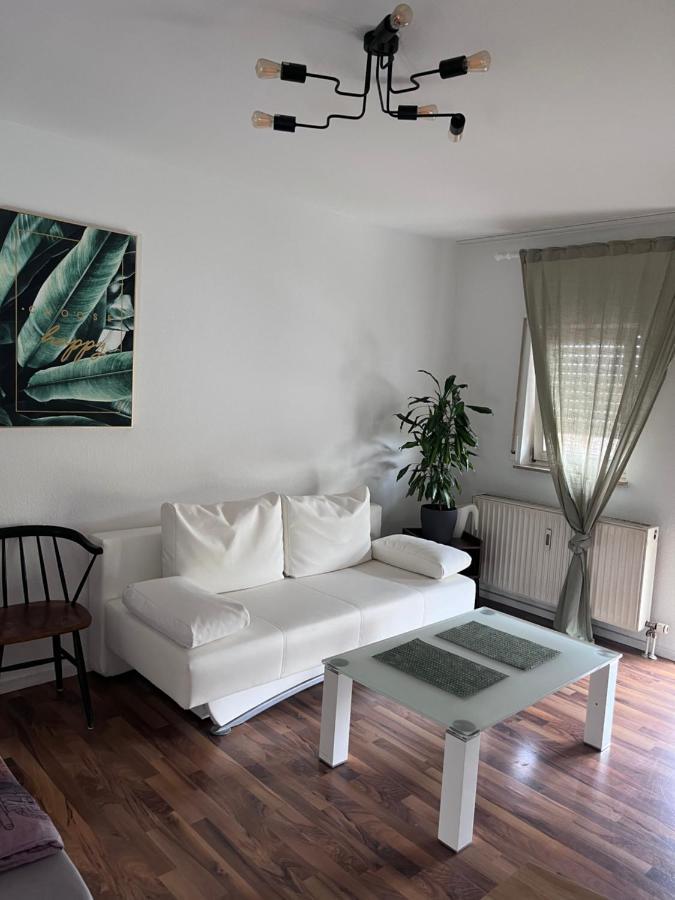 שווצינגן Mels Appartment מראה חיצוני תמונה