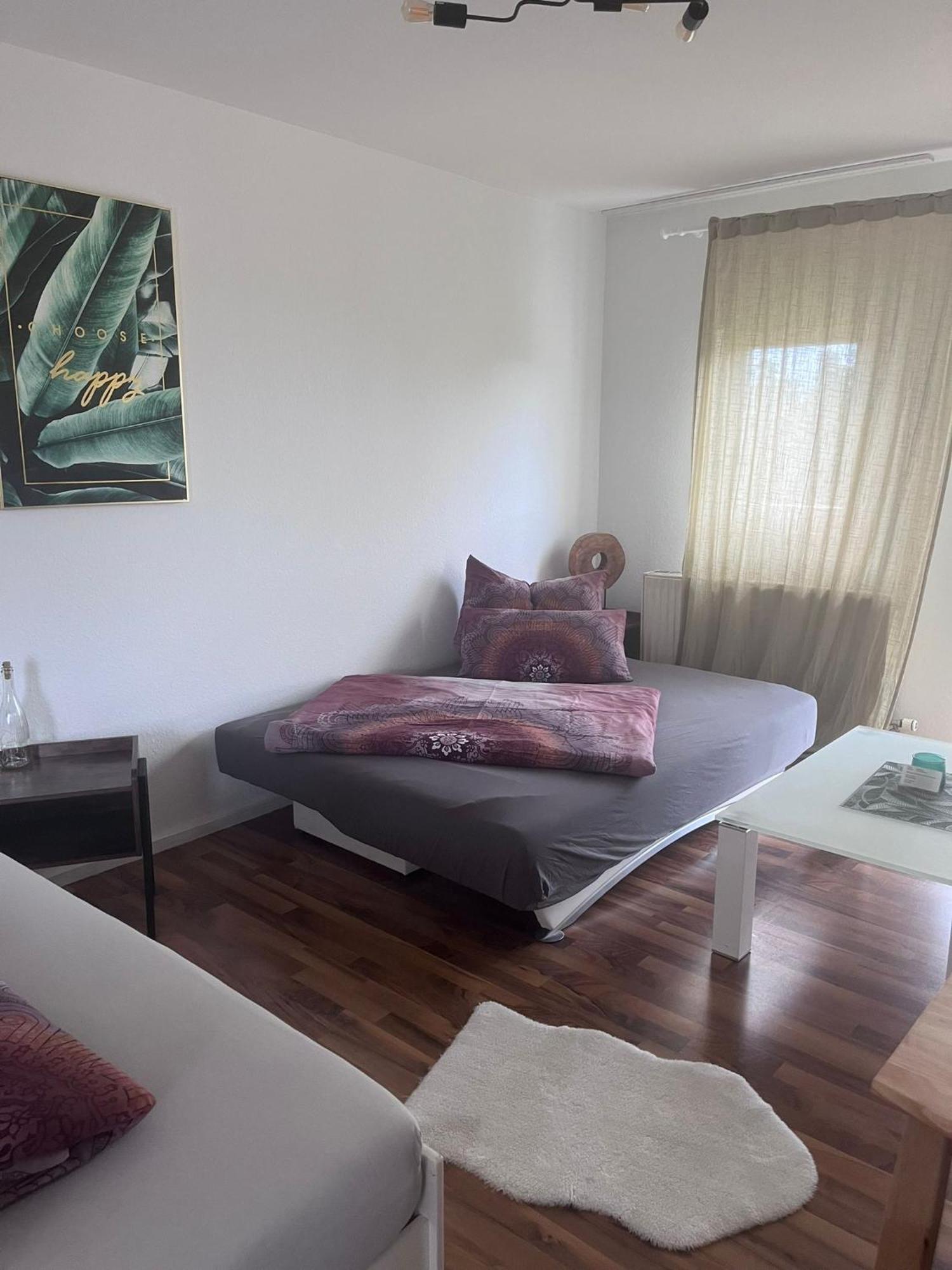 שווצינגן Mels Appartment מראה חיצוני תמונה